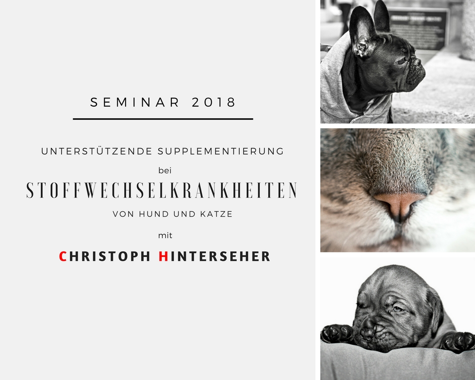 Unterstützende Supplementierung bei Stoffwechselkrankheiten