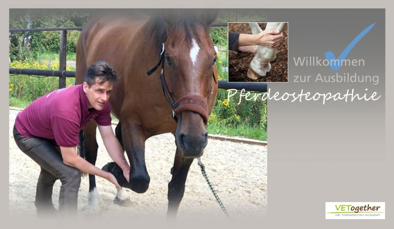 header-osteo-homepage