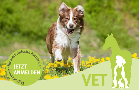 provicell-slideshow-seminar